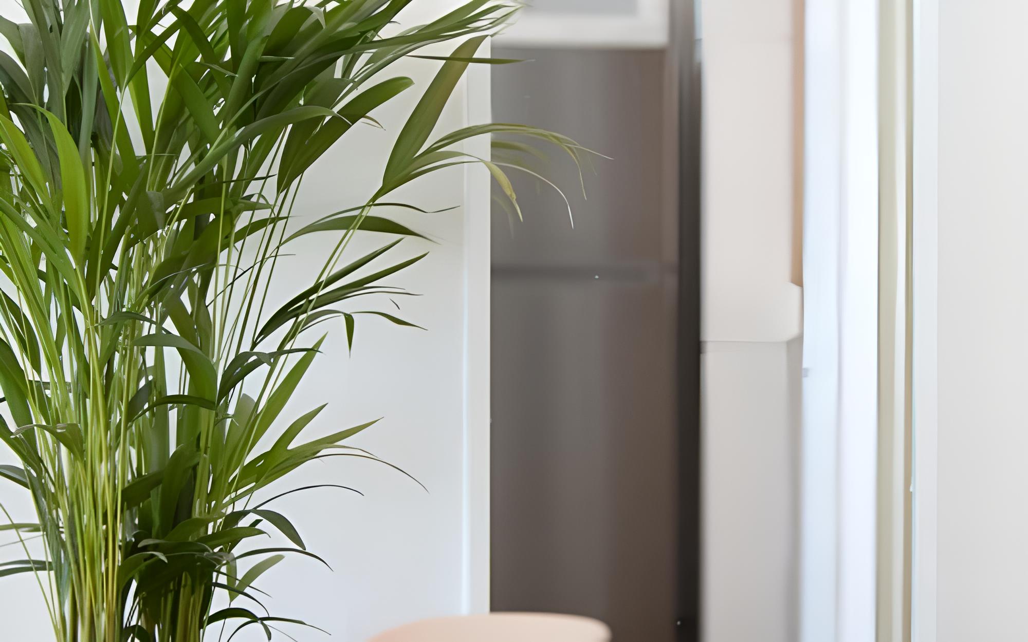 Room (M2 (Ocean View)) - Photo 10