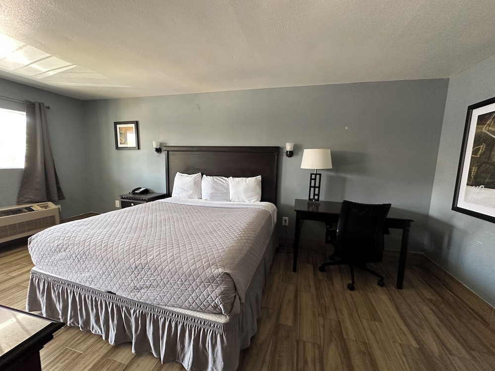 Basic Single Room - Photo 7