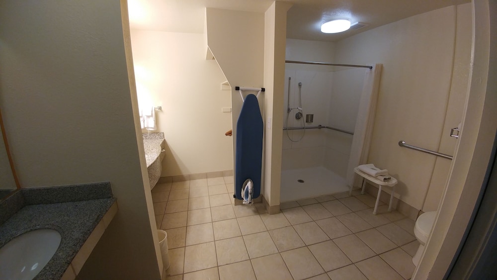 Standard Room, 1 Queen Bed, Accessible, Non Smoking (With Sofabed)