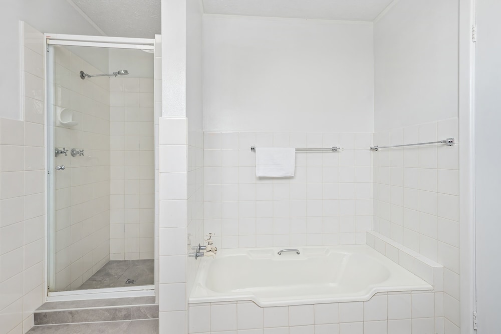 1 Bedroom Apartment (No Pets) - Photo 5