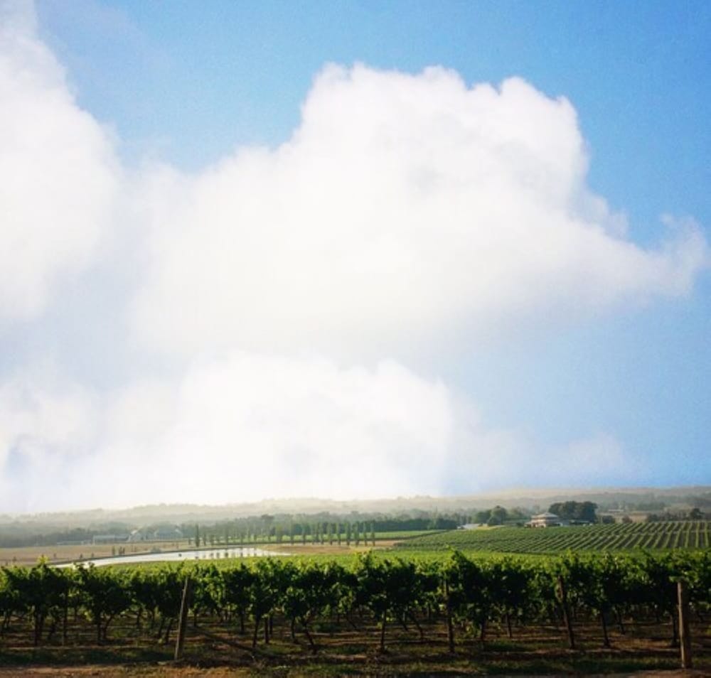 Vineyard View Room - Photo 7