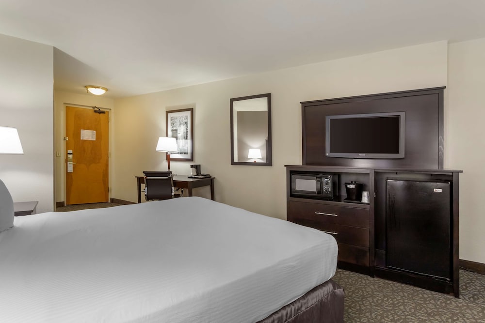 Standard Room, 1 King Bed, Non Smoking, Refrigerator & Microwave photo 1
