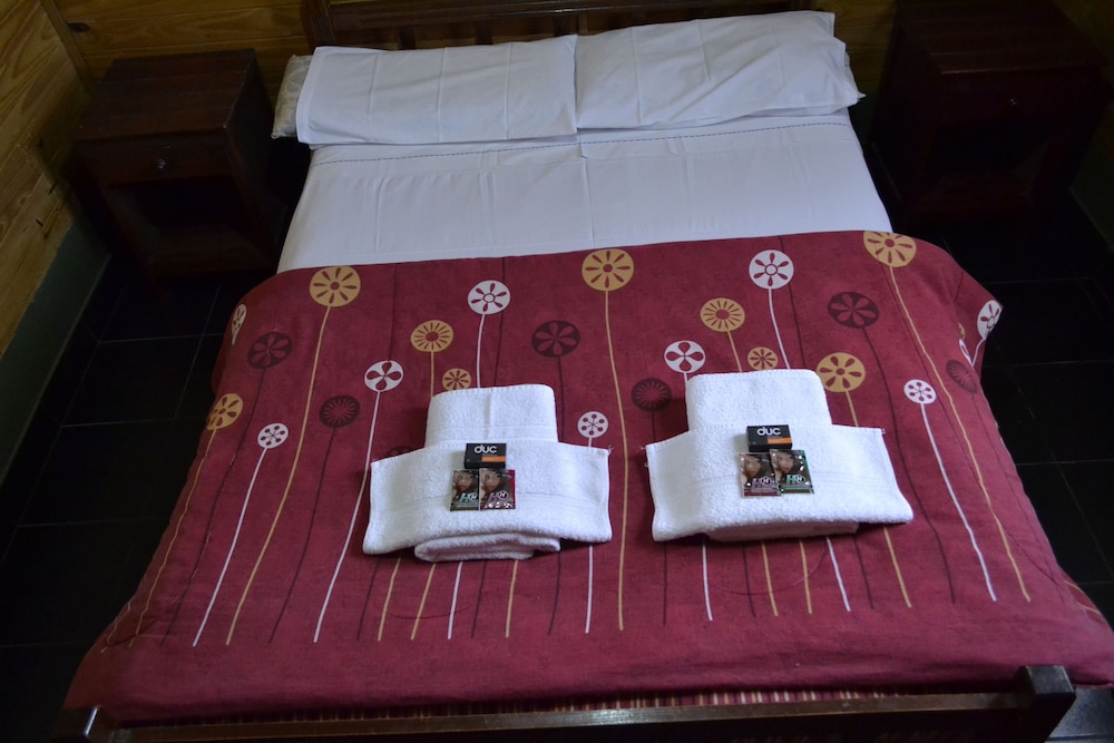 Family Cabin, Multiple Beds photo 1