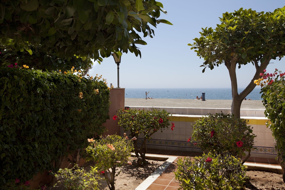 Suite (Playa) - Photo 1
