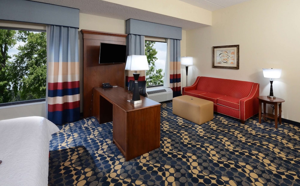Studio Suite, 1 King Bed, Micro/Fridge, Hearing Accessible, Non Smoking photo 3