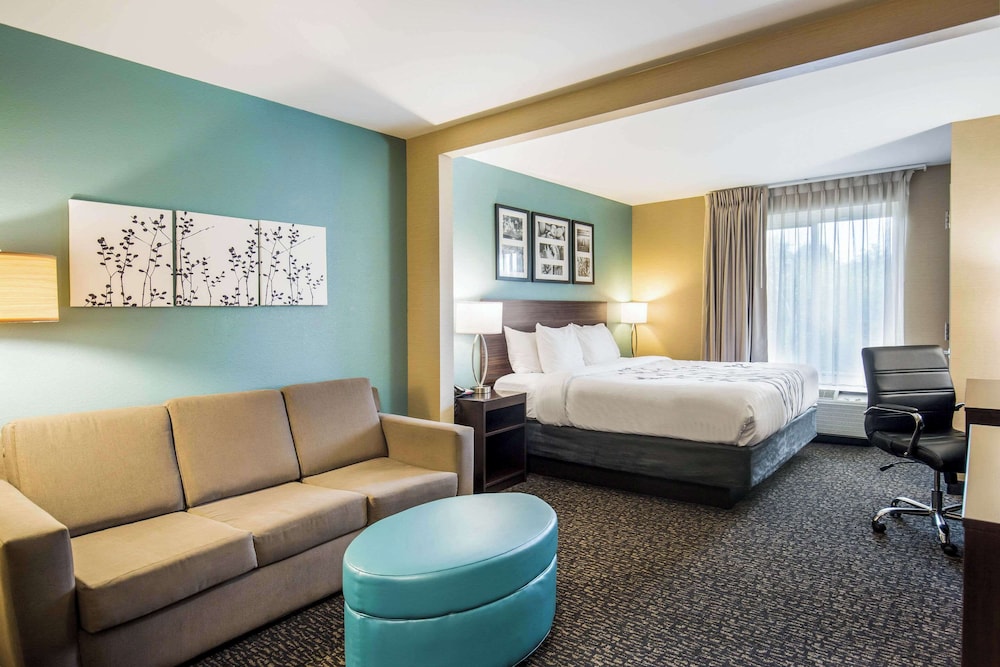 Suite, 1 King Bed, Non Smoking - Photo 2