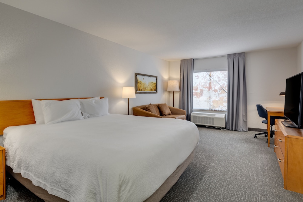Room, 1 King Bed (Mobility/Hearing Access, Roll-In Shwr) - Photo 1