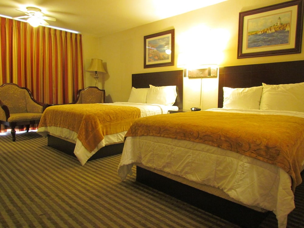 Double Room, 2 Double Beds