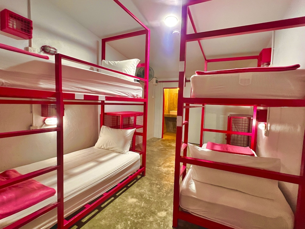 Bed in 4 Bed Mixed Dorm Poolside