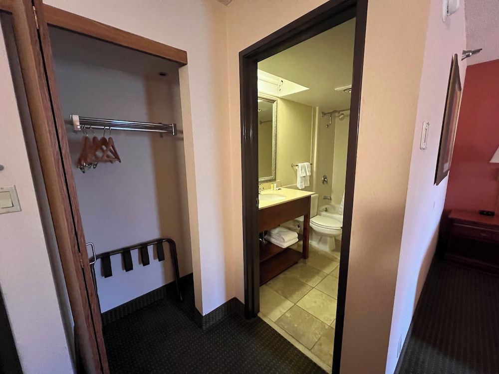 Studio Suite, 1 King Bed, Non Smoking - Photo 5