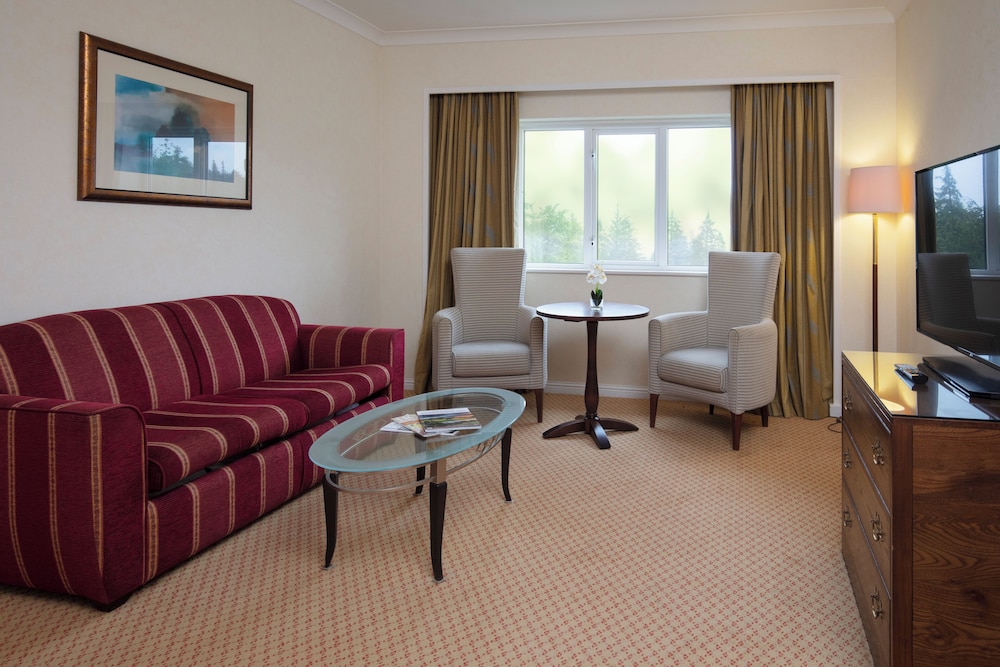 Suite - Photo 3