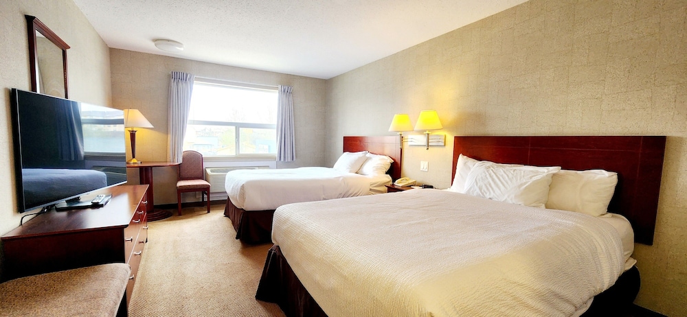 Comfort Double Room, 2 Queen Beds photo 1