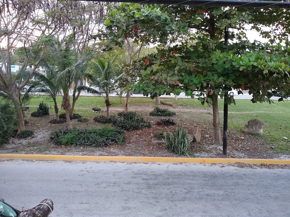 Standard Tree House, 2 Double Beds (4) photo 3