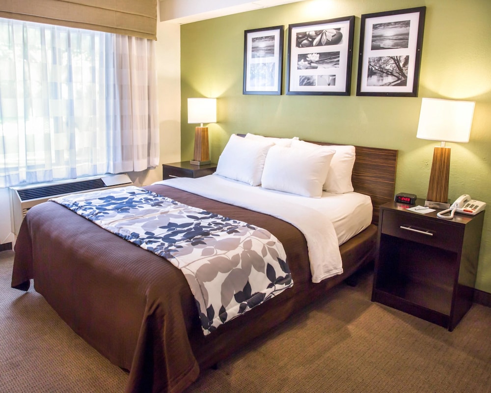 Standard Room, 1 King Bed, Non Smoking - Photo 7