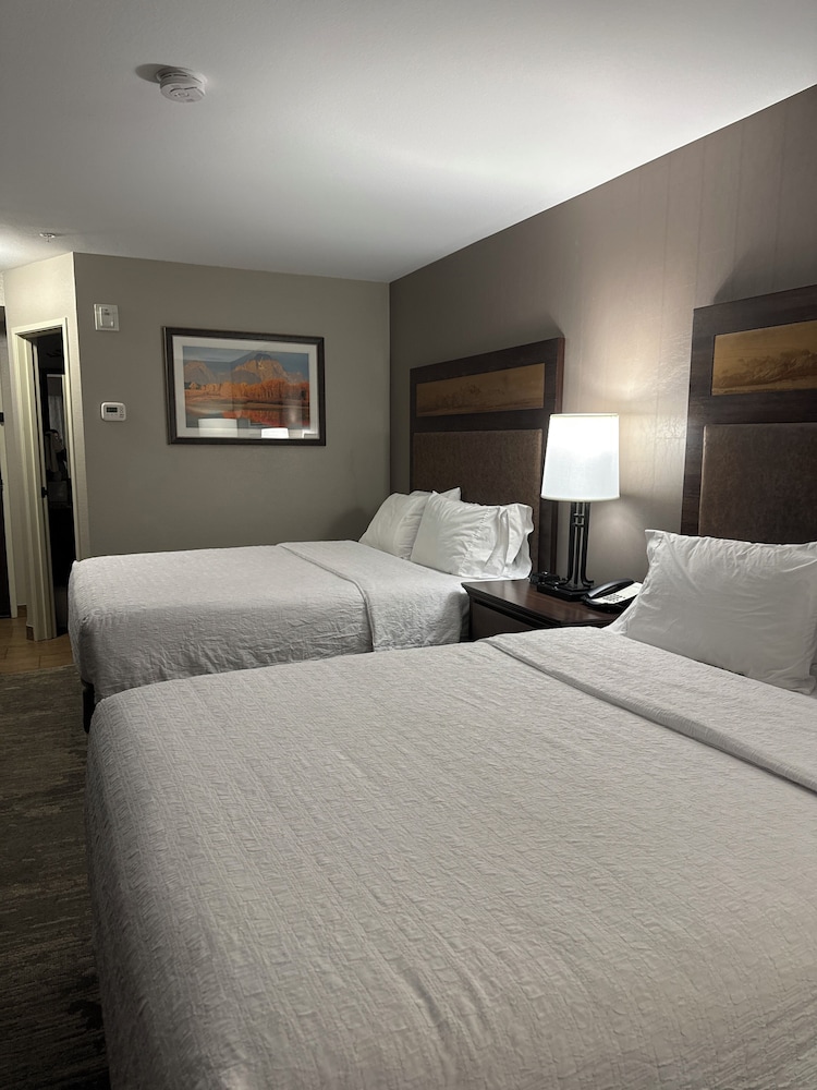 Room, Multiple Beds, Refrigerator & Microwave photo 2