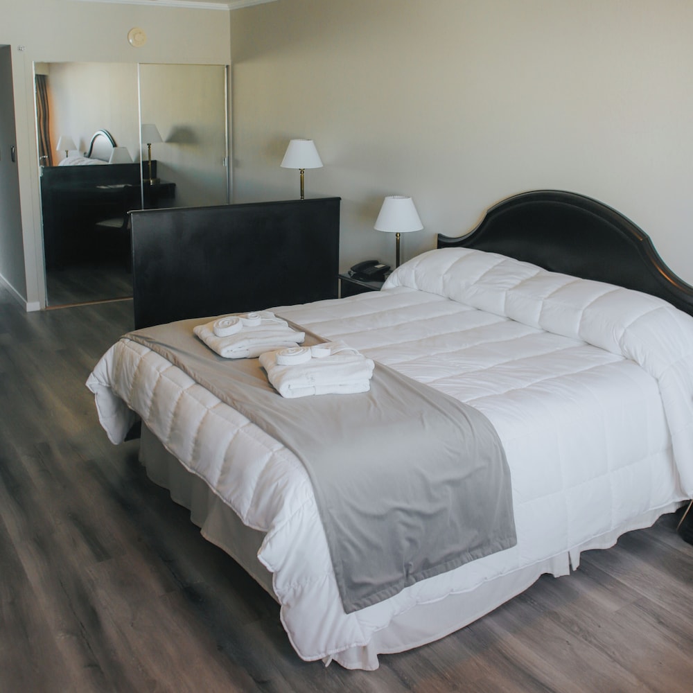 Executive Double Room, 1 King Bed