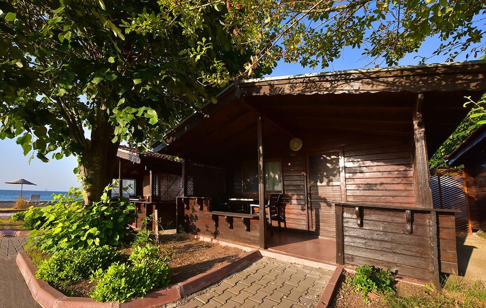 Classic Cabin photo 2