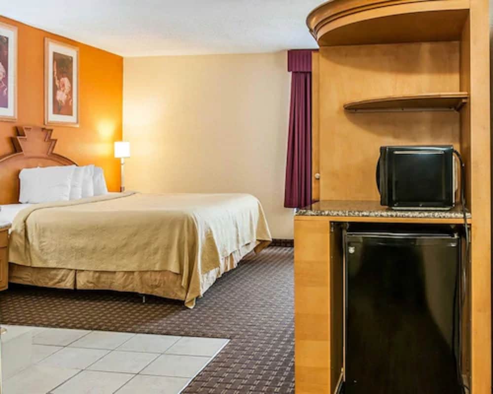 Suite, 1 King Bed, Non Smoking - Photo 4