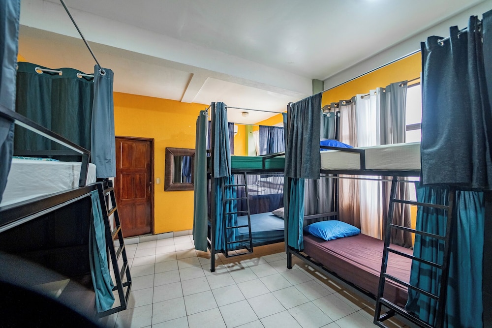 Classic Shared Dormitory photo 1