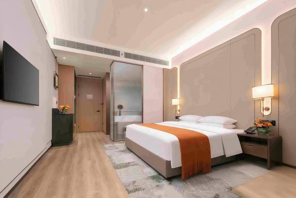 Room, 1 King Bed with Sofa bed, Accessible