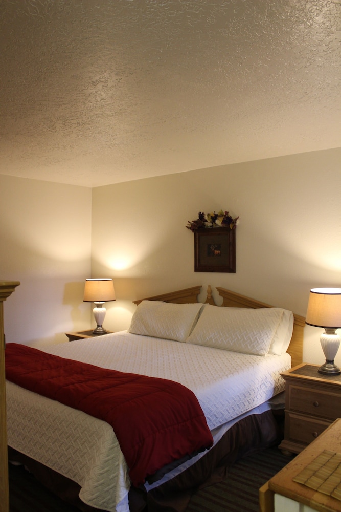 Standard Condo, 1 King Bed photo 3