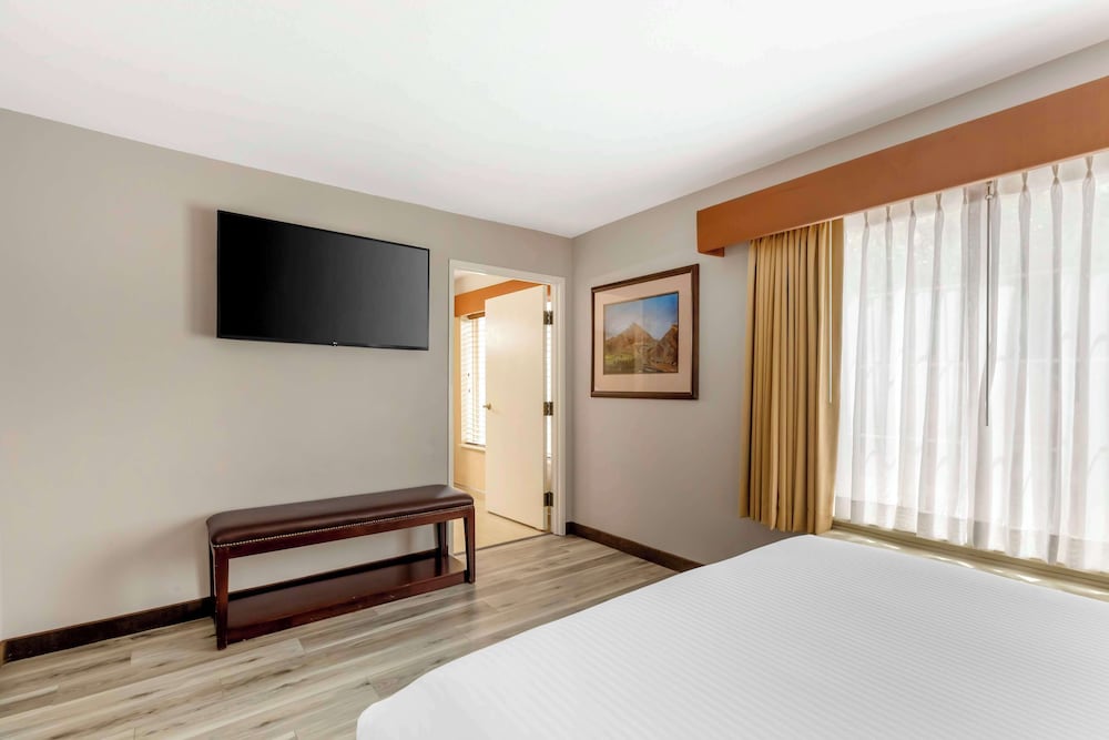 Suite, 1 King Bed with Sofa bed, Accessible, Non Smoking (with Sofabed) - Photo 3