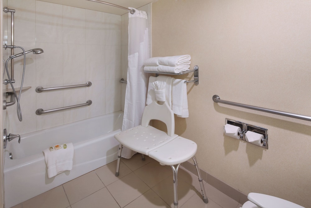 Suite, 1 Bedroom, Accessible Bathtub (Accessible Tub) - Photo 5