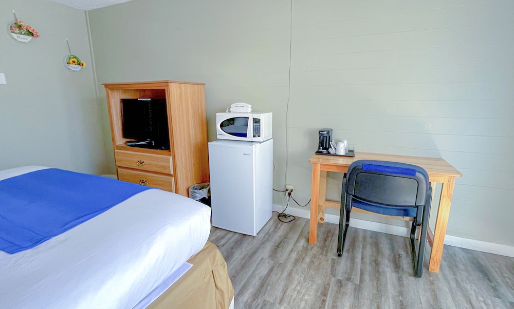 Accessible ADA King Room photo 2