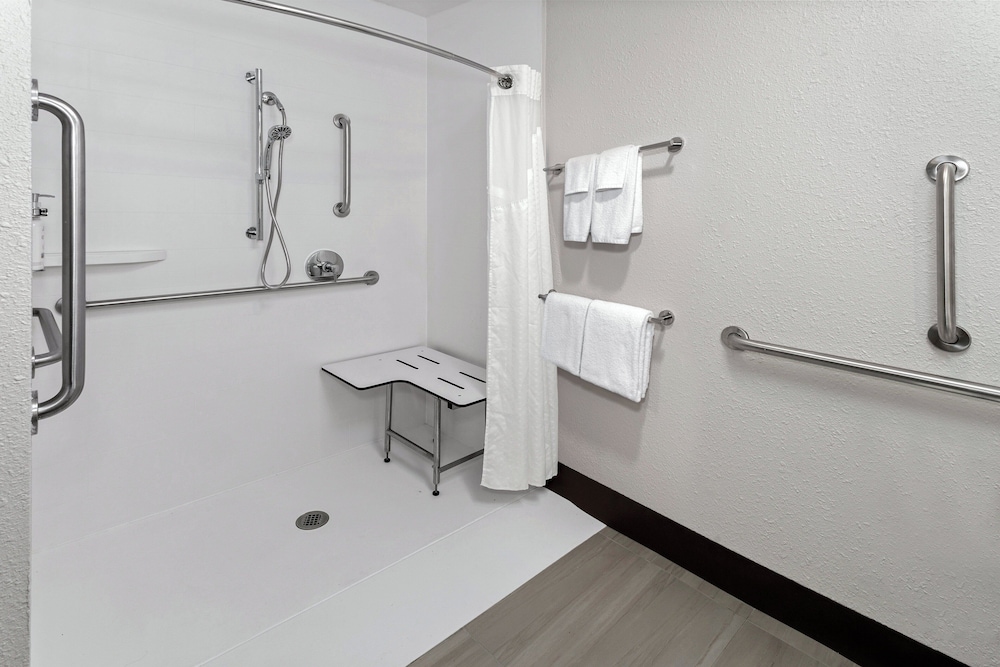 Room, 1 King Bed, Mobility Accessible (Communications, Roll-In Shower) - Photo 3