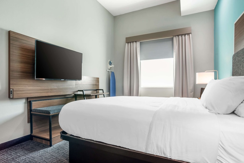 Suite, 1 King Bed, Non Smoking (Efficiency)