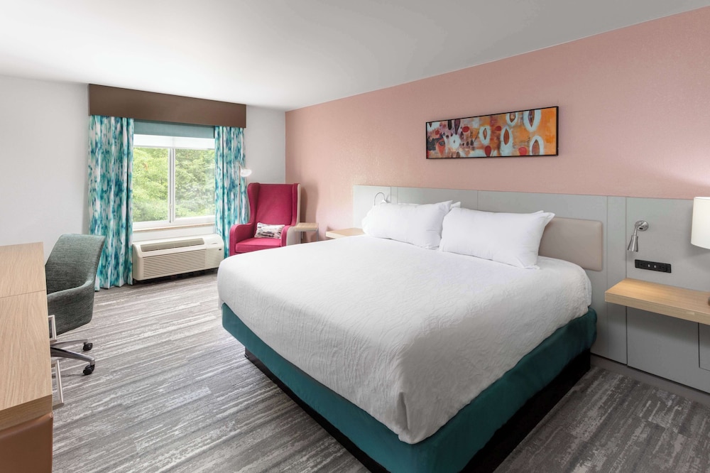 Suite, 1 King Bed, Accessible (Mobility & Hearing) - Photo 1