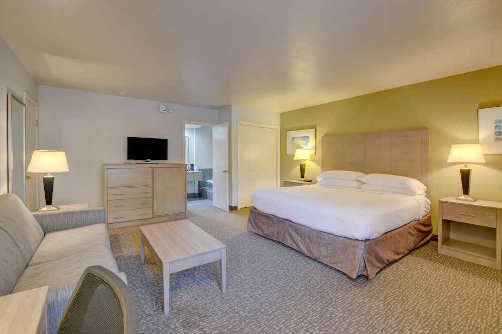 Standard Room, 1 King Bed, Non Smoking, Hot Tub - Photo 2