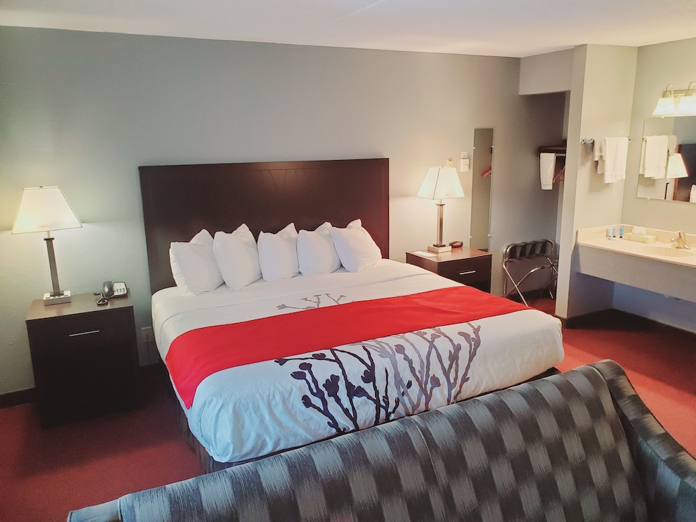 Executive Suite, 1 King Bed photo 1