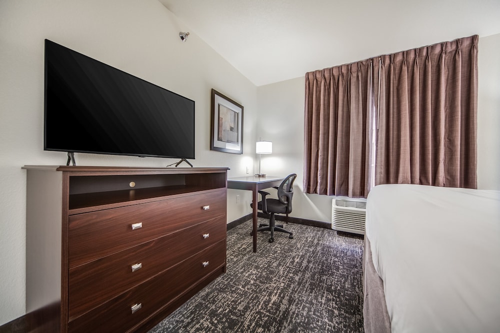 Studio Suite, 1 King Bed with Sofa bed, Accessible, Non Smoking (Audible/Visual) - Photo 6