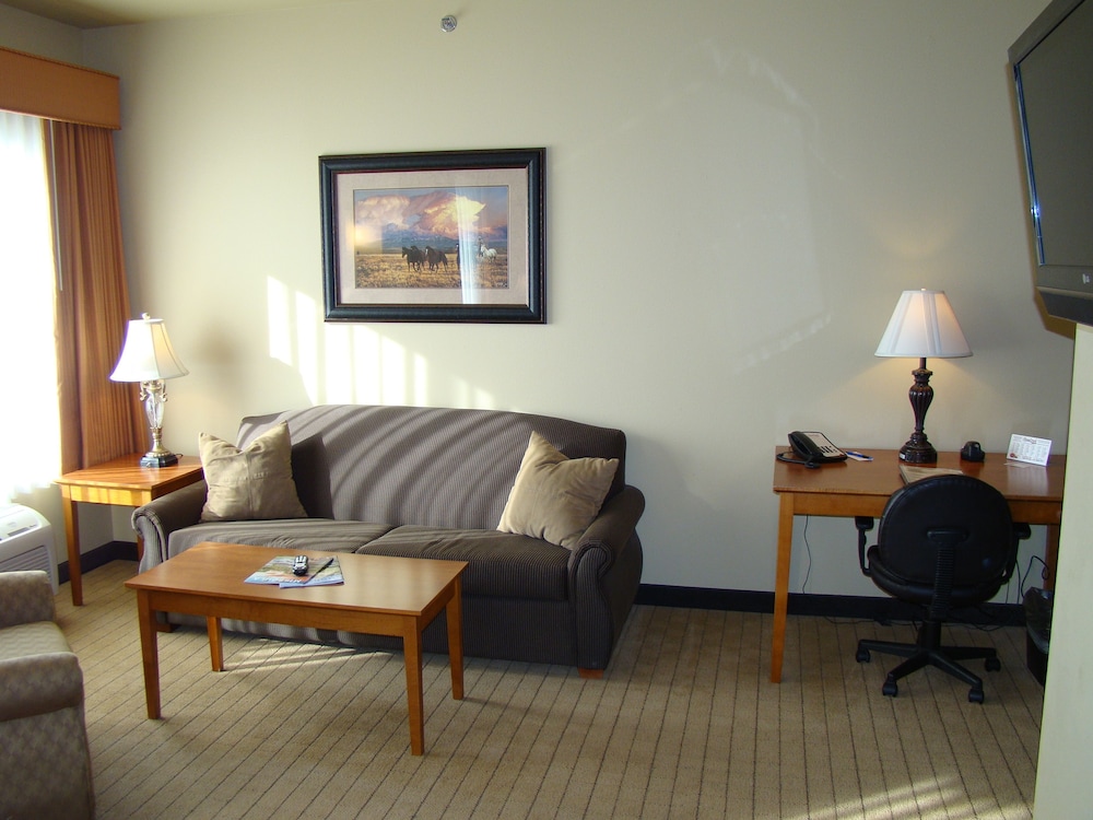 Standard Room, 1 King Bed with Sofa bed, Kitchen (King Studio with Half Kitchen)