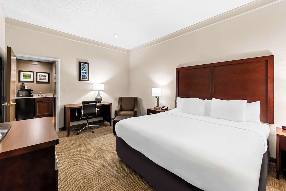 Suite, 1 King Bed with Sofa bed, Non Smoking photo 2