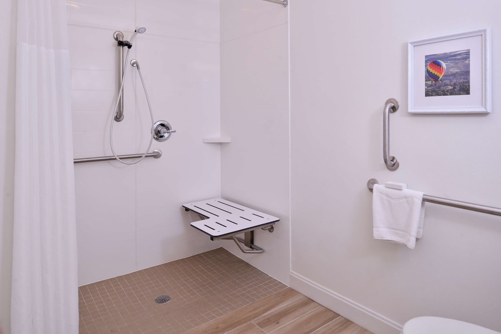 Room, 1 King Bed, Accessible (Roll-In Shower)