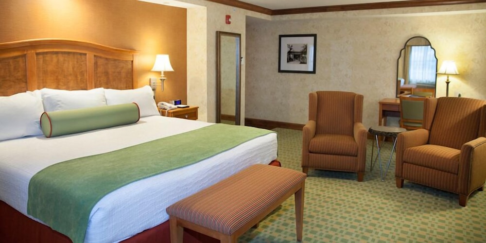 Premier Room, 1 King Bed, Refrigerator