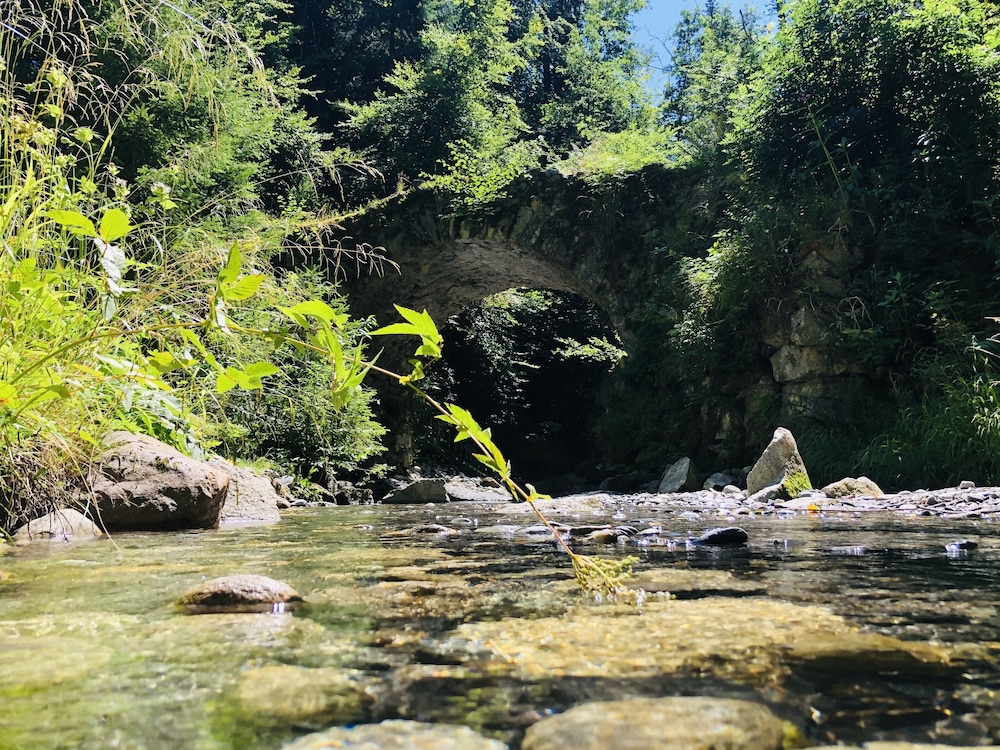Le Moulin des Olirics, Foto 4
