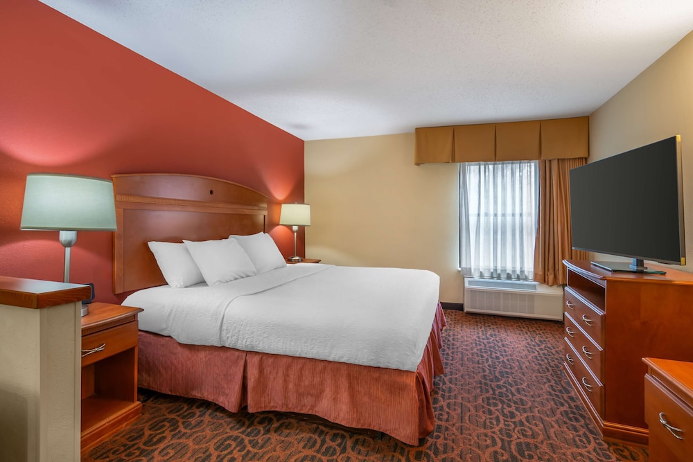 Suite, 1 King Bed, Non Smoking (with Single Sofabed) - Photo 2