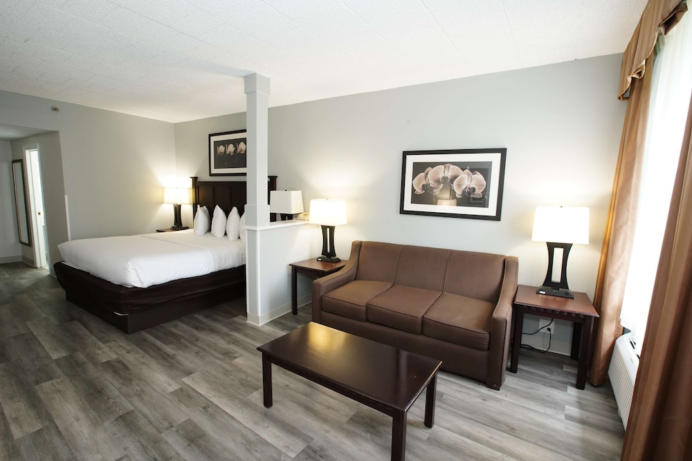 Standard Room, 1 King Bed, Accessible, Refrigerator & Microwave - Photo 2