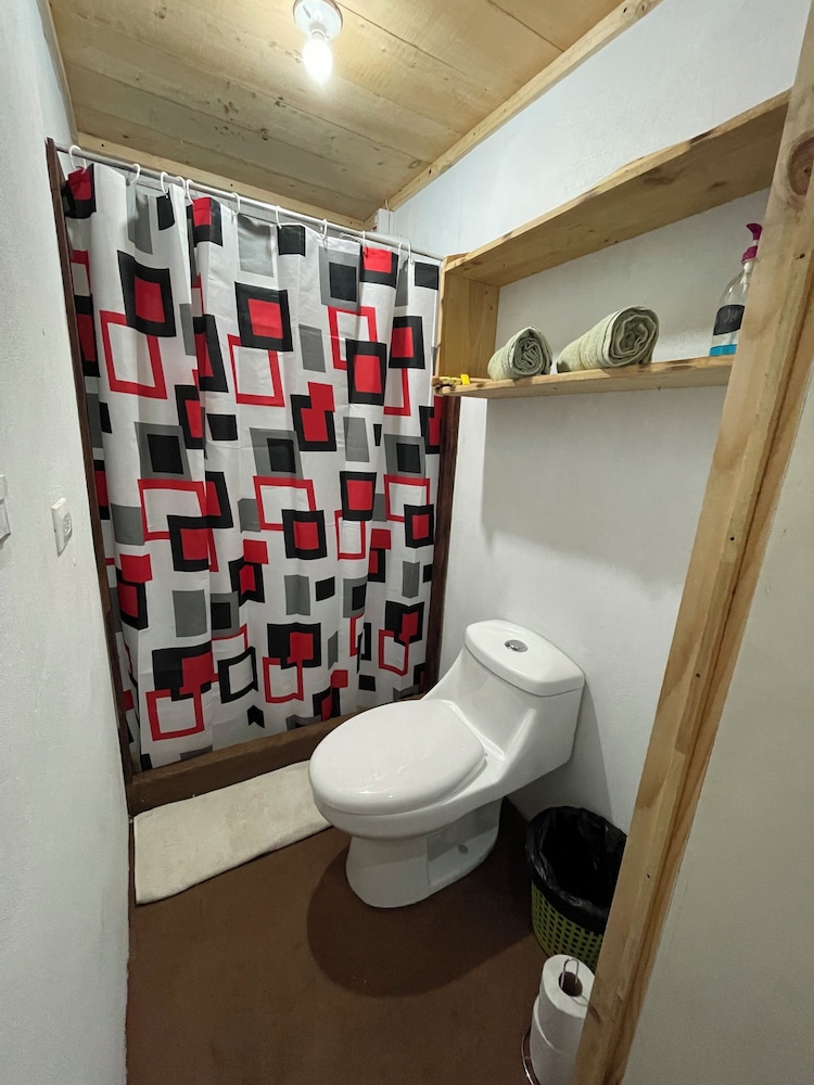 Economy Room photo 2