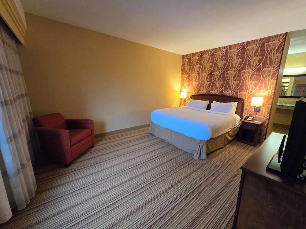 Suite, 1 King Bed, Accessible, Non Smoking - Photo 1