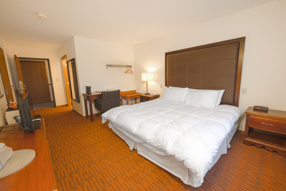 Room, 1 King Bed, Non Smoking photo 1