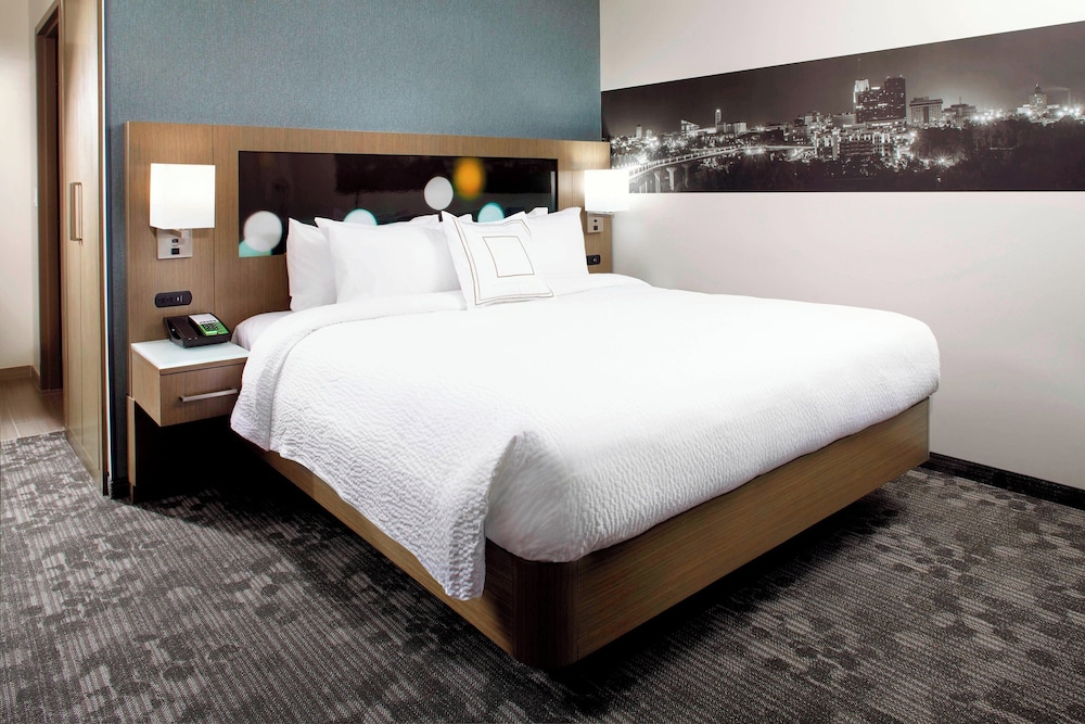 Basic Single Room, 1 King Bed with Sofa bed, Roll-in Shower (Mobility Accessible, Roll-In Shower)