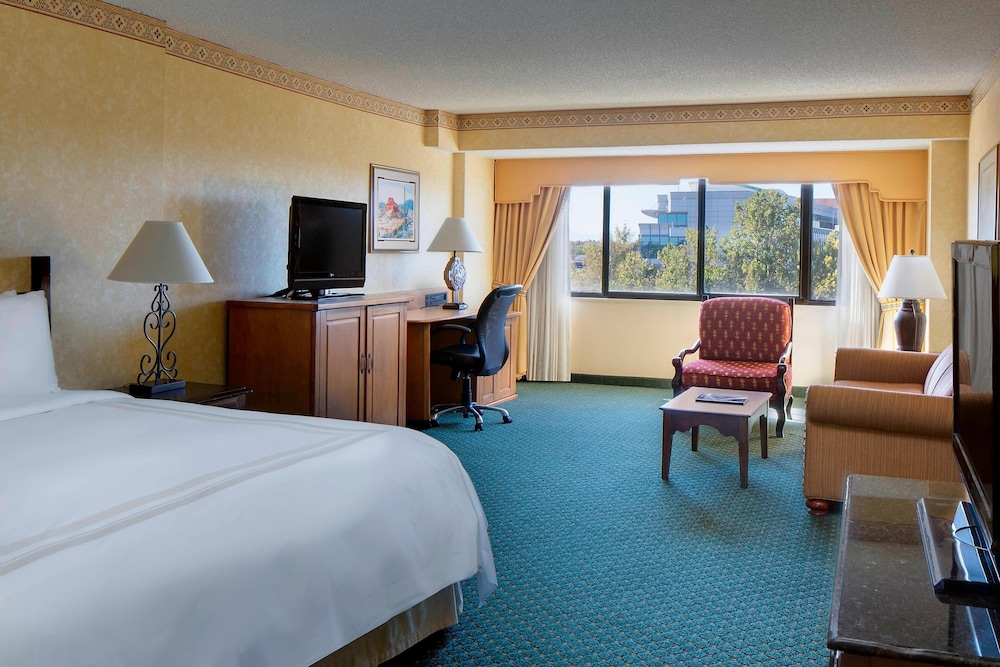 Suite, 1 Bedroom - Photo 1