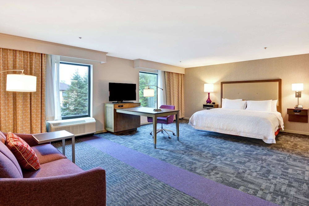 Room, 1 King Bed, Accessible, Bathtub (Mobility & Hearing) photo 2