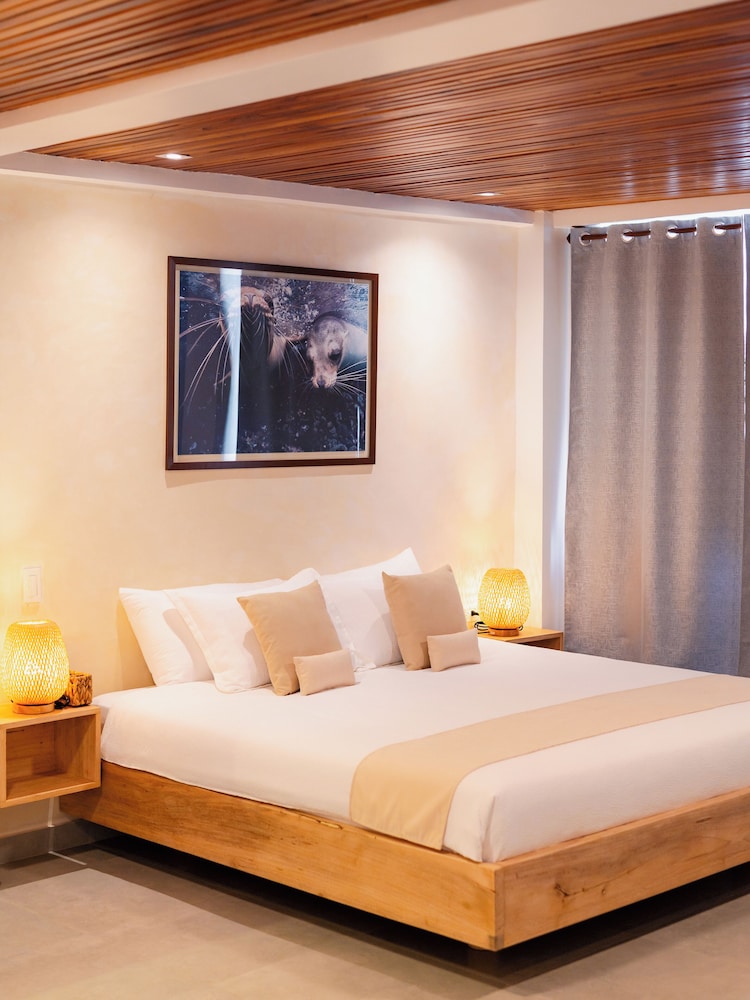 Superior Room, Bay View photo 3