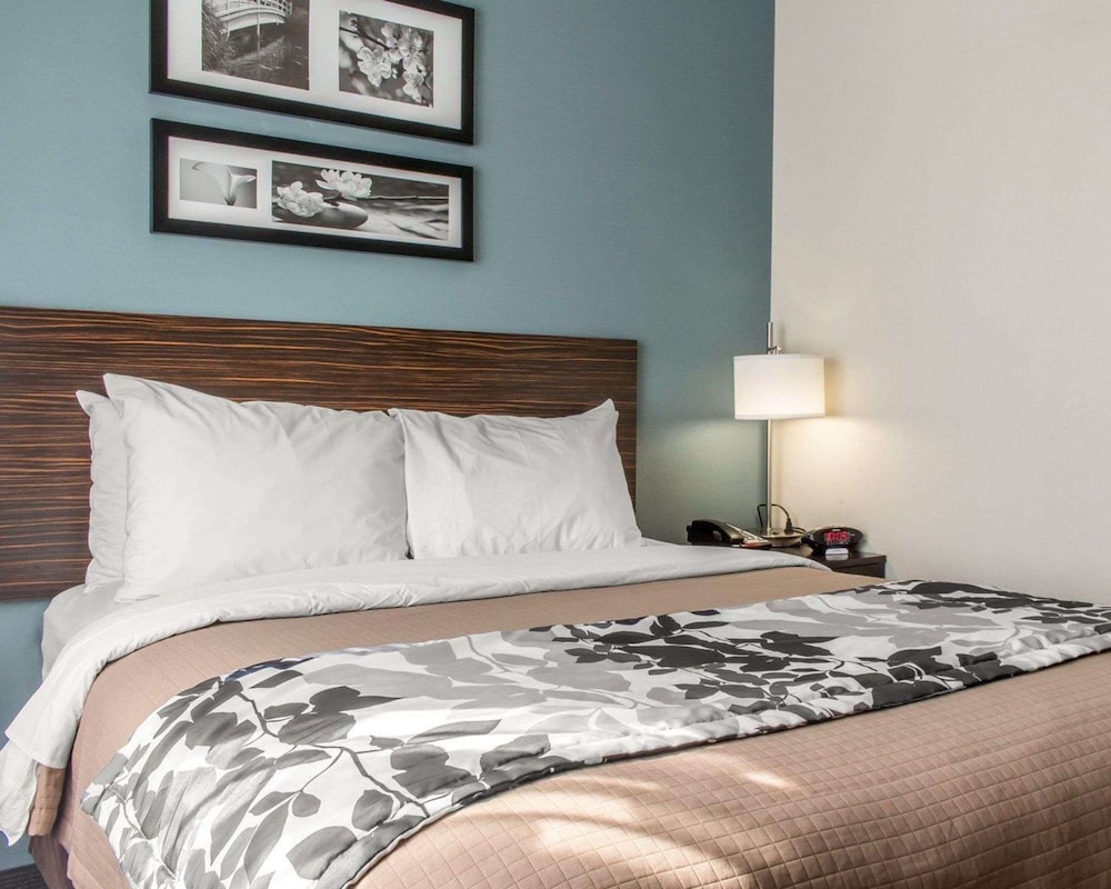 Room, 1 Queen Bed, Accessible, Non Smoking photo 2