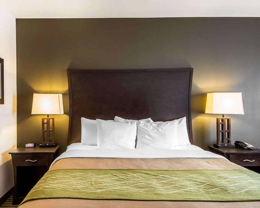 Standard Room, 1 King Bed, Non Smoking photo 1